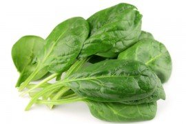 Spinach on white